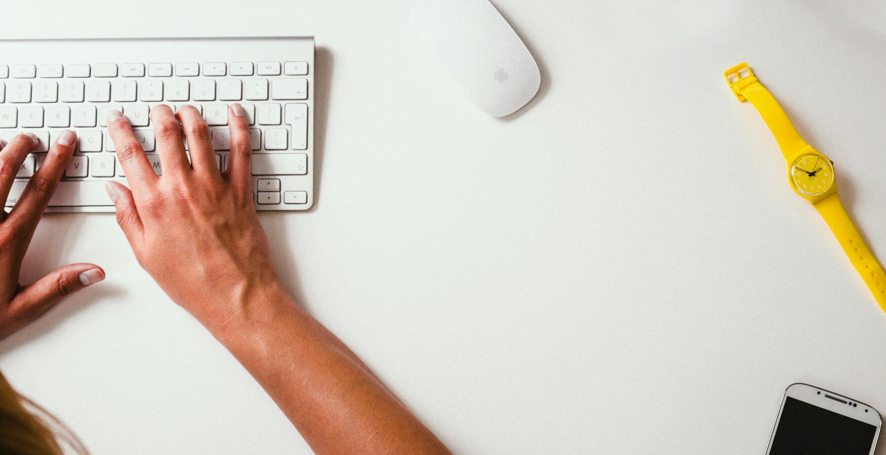 SEO , SEO Trends, SEO Trends in 2024